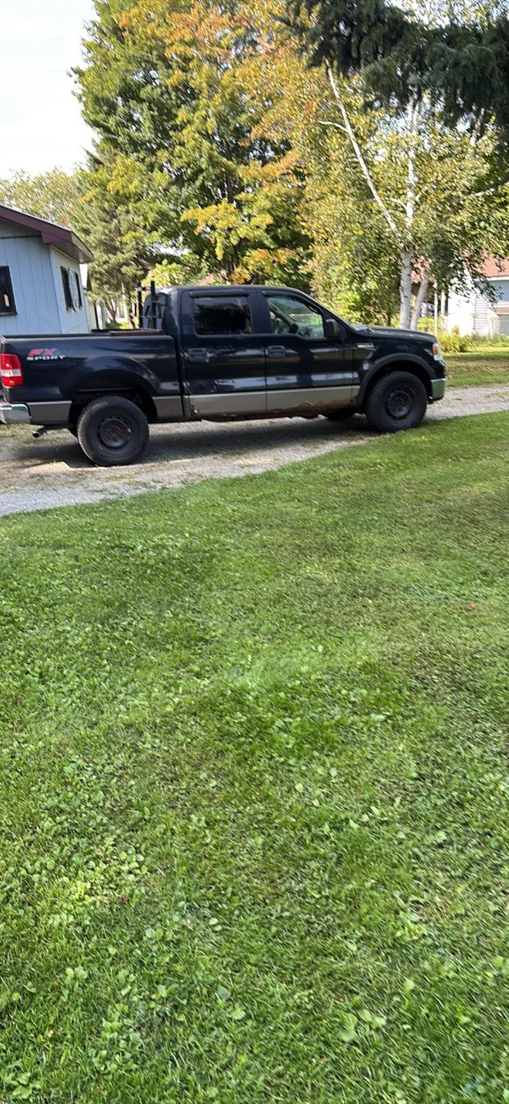 Ford F-150 2006 photo 5