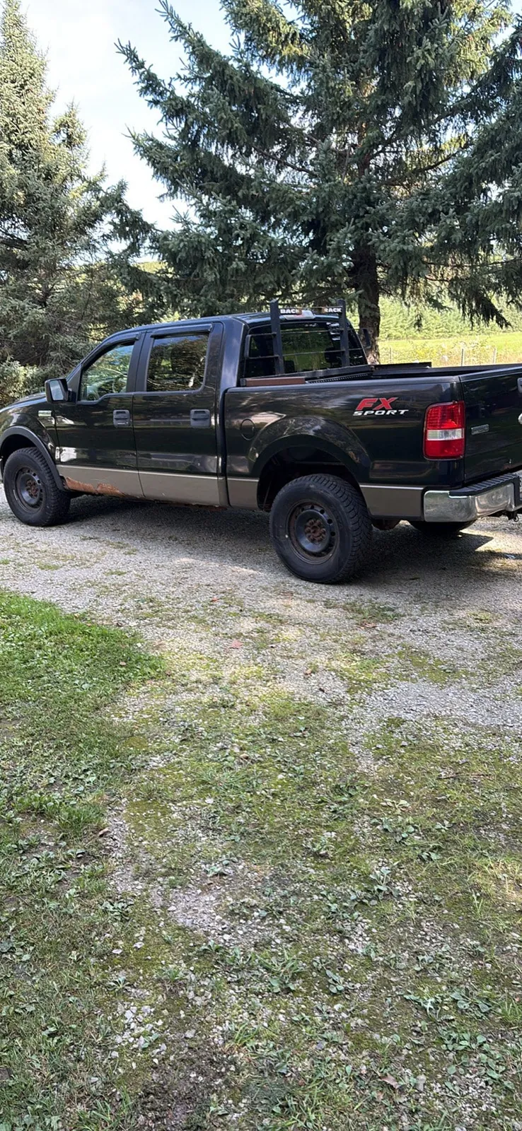 Ford F-150 2006 photo 4