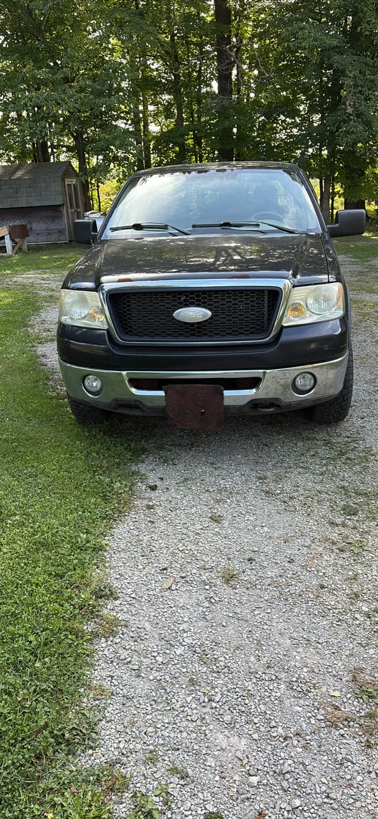 Ford F-150 2006 photo 2