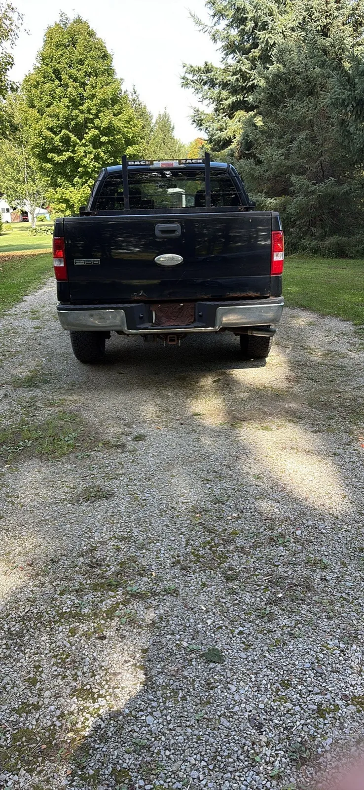 Ford F-150 2006 photo 3