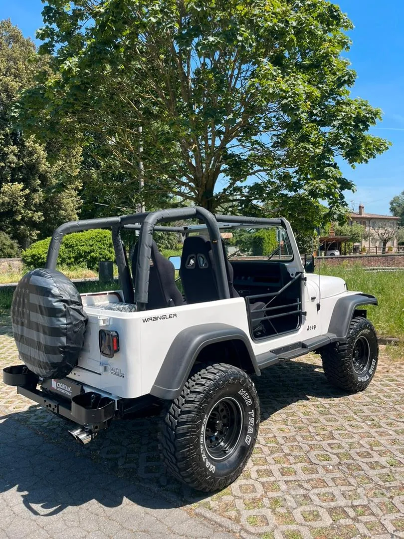 Jeep Wrangler 1995 photo 2