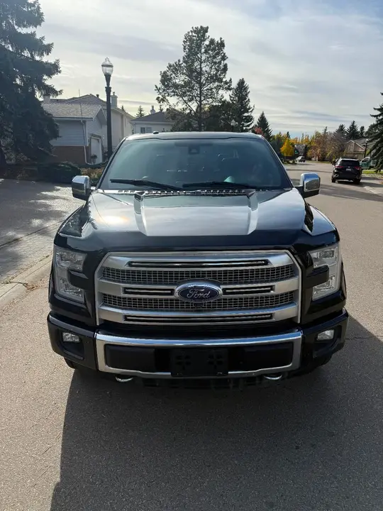 Ford F-150 2015 photo 4