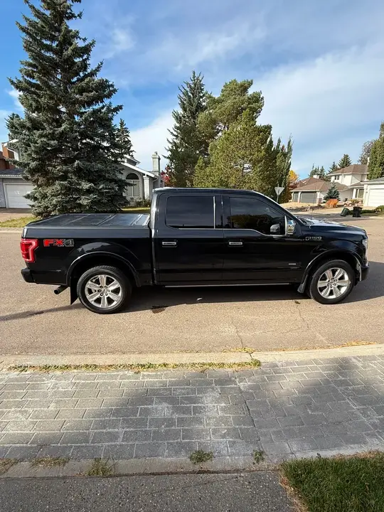 Ford F-150 2015 photo 2