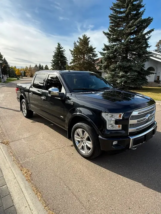 Ford F-150 2015 photo 3