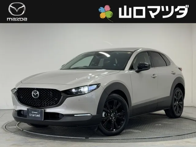 Mitsubishi Cx-30
