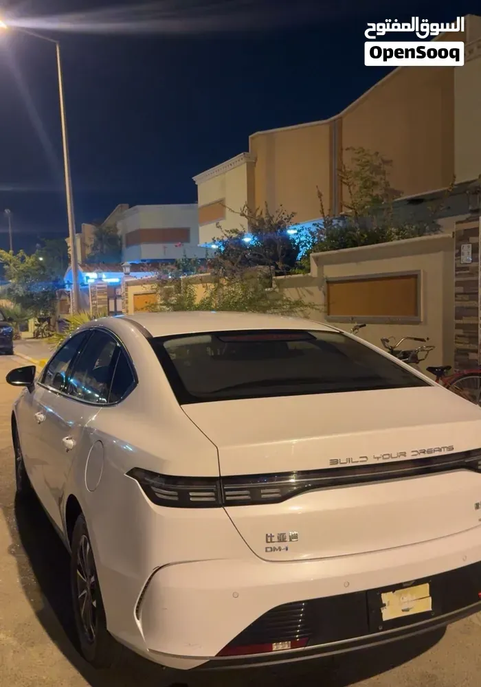 BYD Destroyer 05 2025 photo 3
