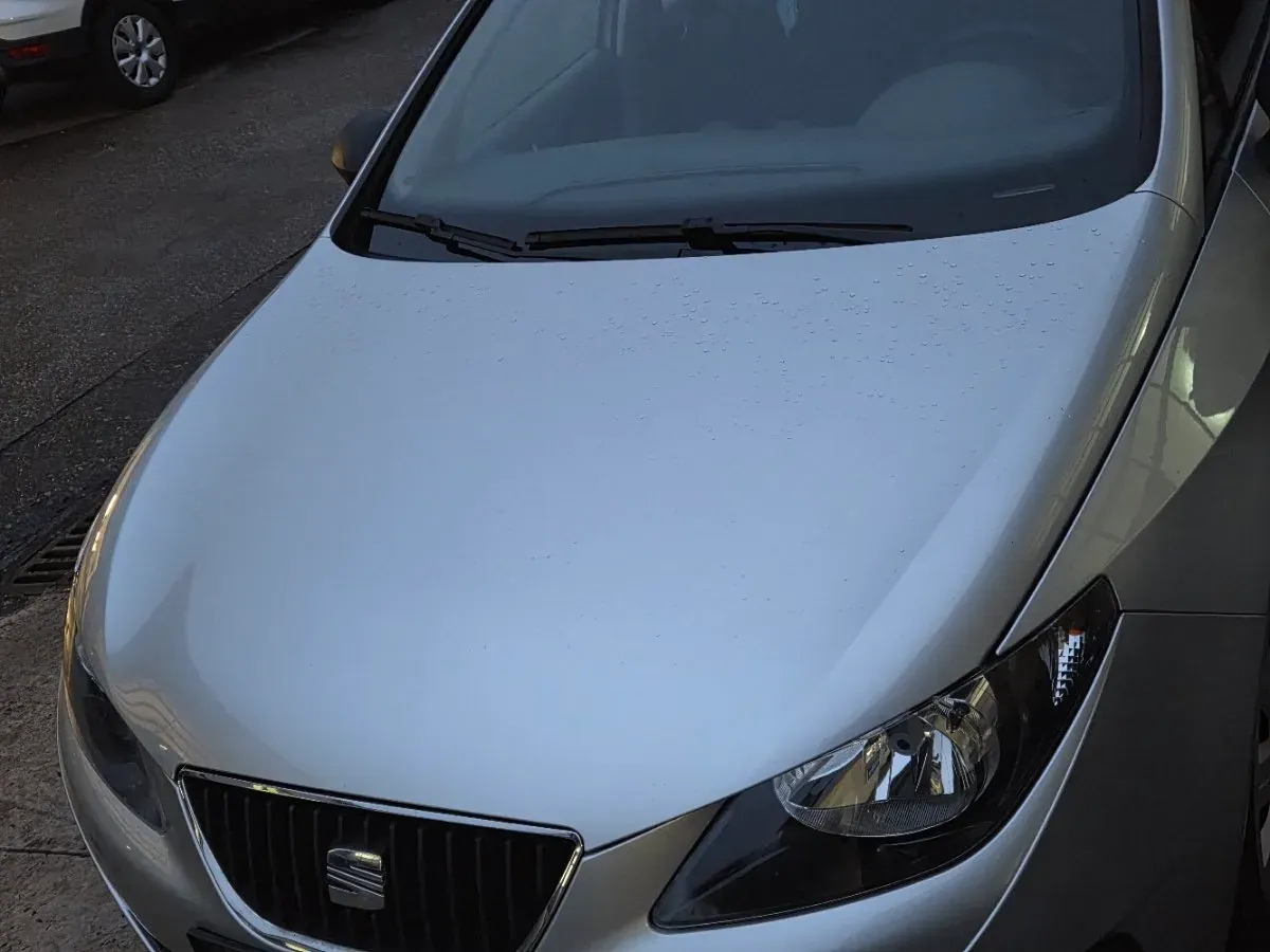 Seat Ibiza 2011 photo 3