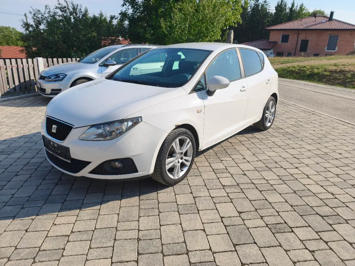 Seat Ibiza 2009 photo 2