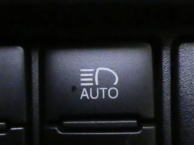 Toyota Esquaisea 2018 photo 4