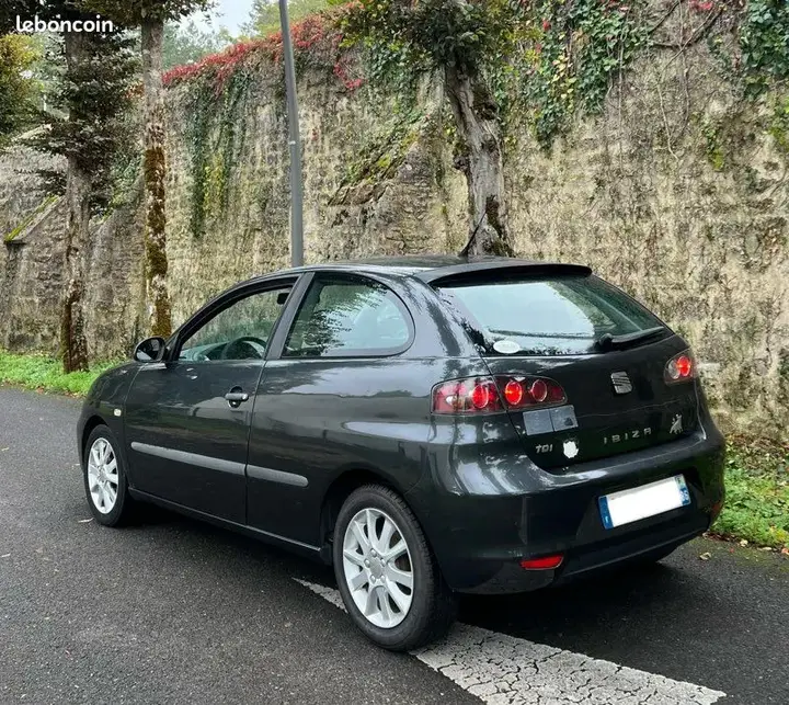 Seat Ibiza 2009 photo 2