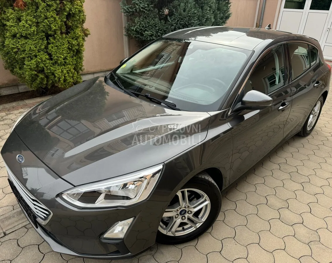 Ford Focus 2019 photo 2