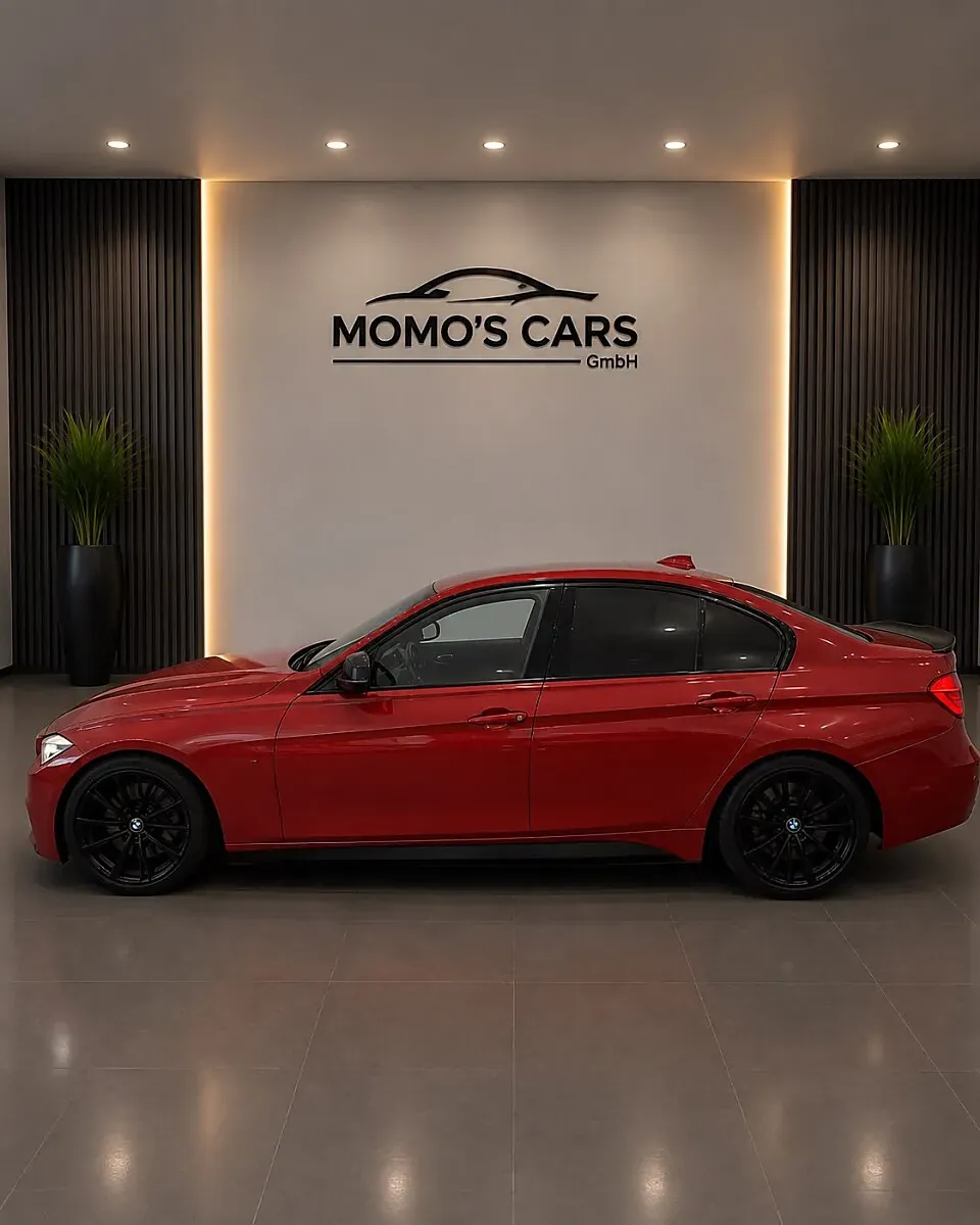 BMW 3 Series 2013 photo 2