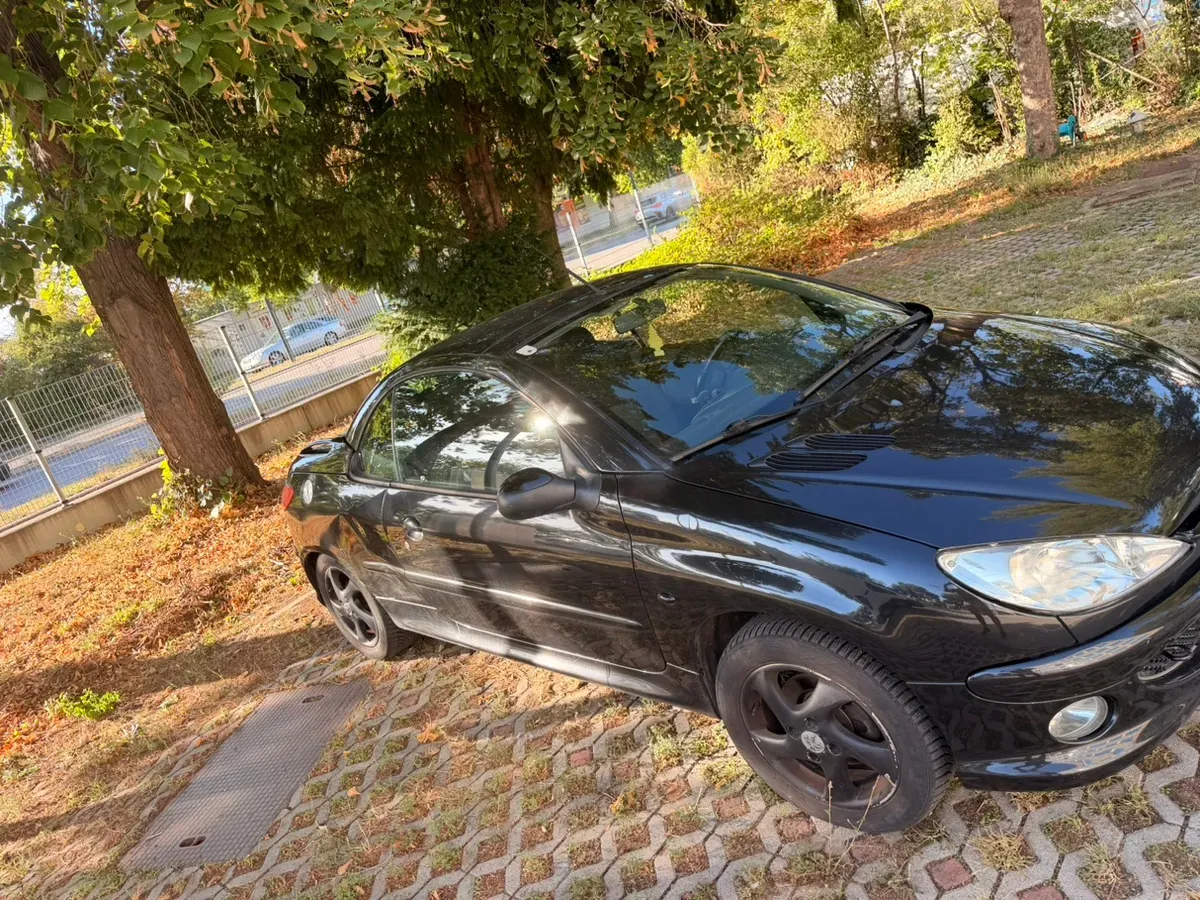 Peugeot 206 2004 photo 3