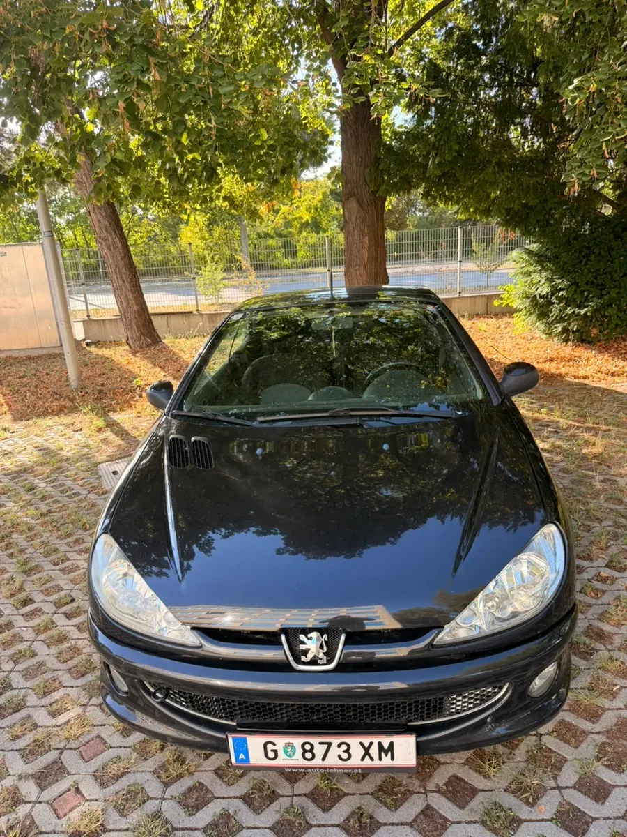 Peugeot 206 2004 photo 2