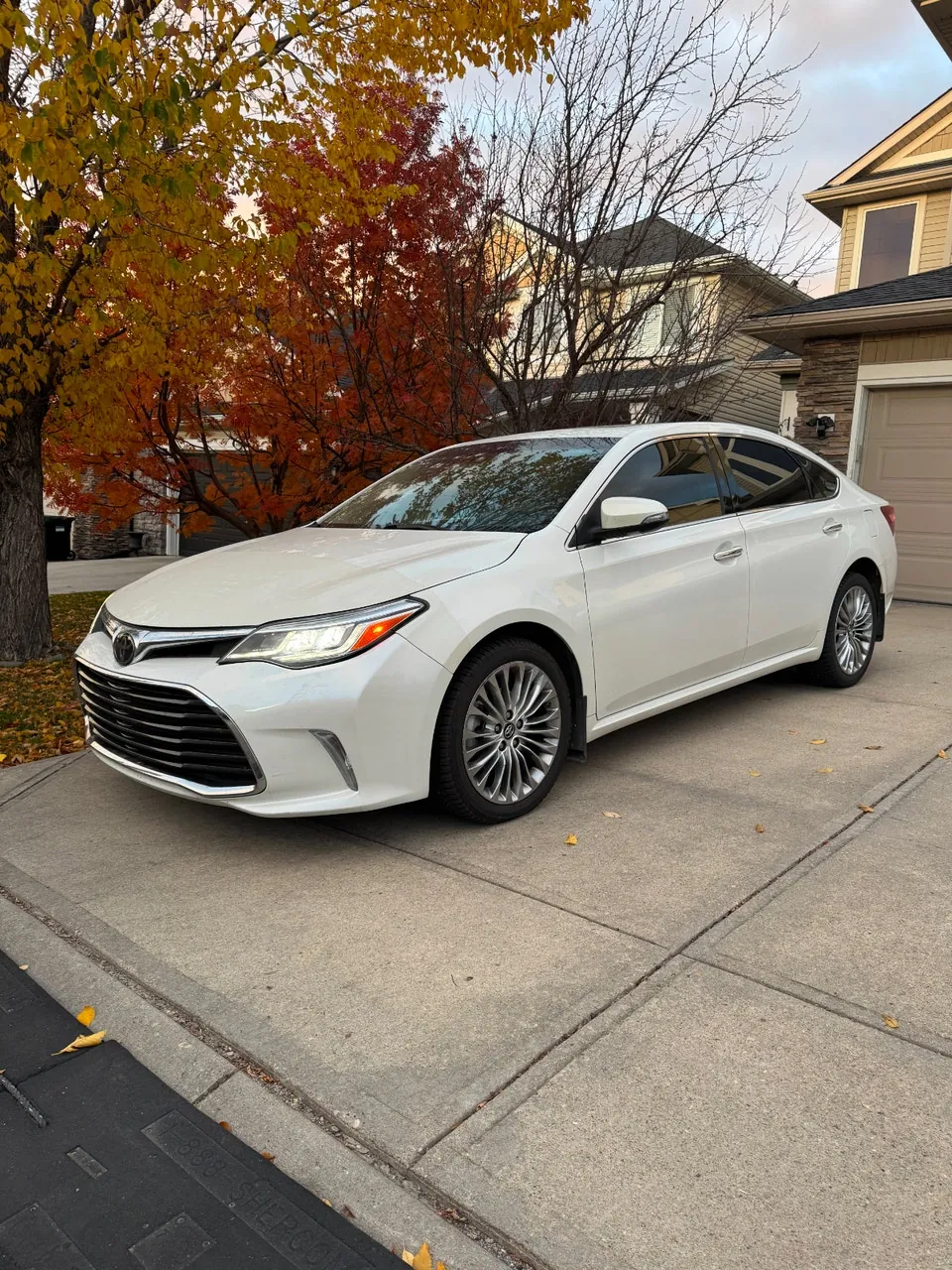 Toyota Avalon