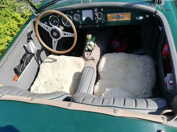 MG Mga 1960 photo 3