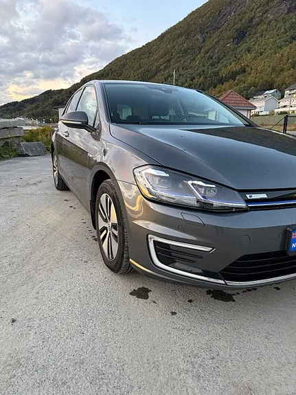 Volkswagen E-Golf 2020 photo 5