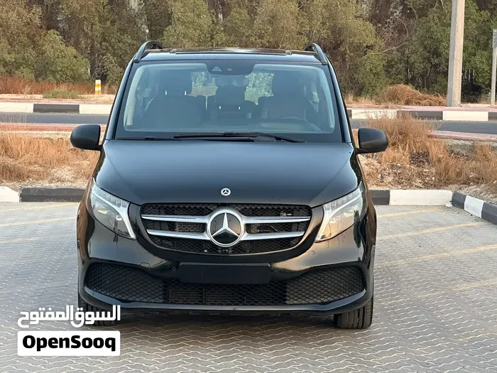Mercedes-Benz V-Class 2006 photo 3