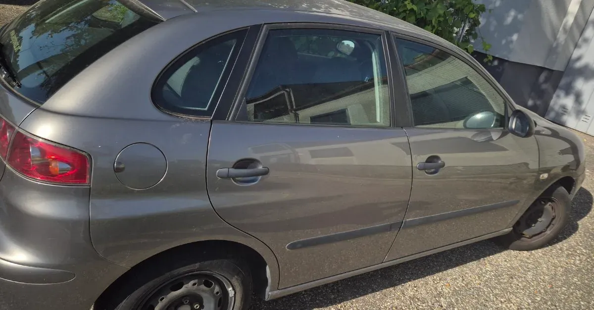 Seat Ibiza 2005 photo 3