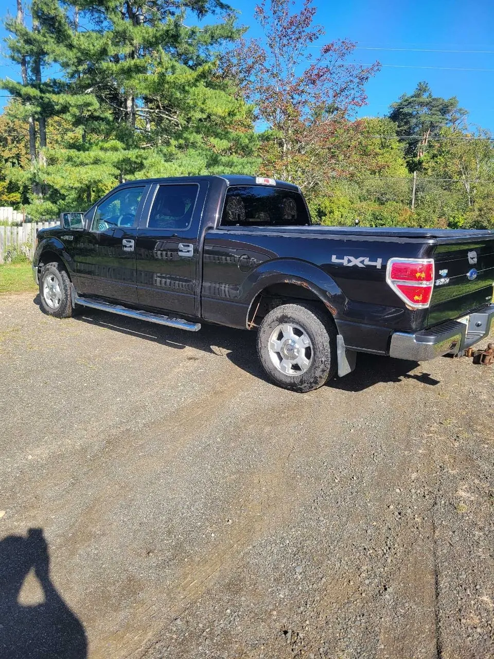 Ford F-150 2014 photo 2