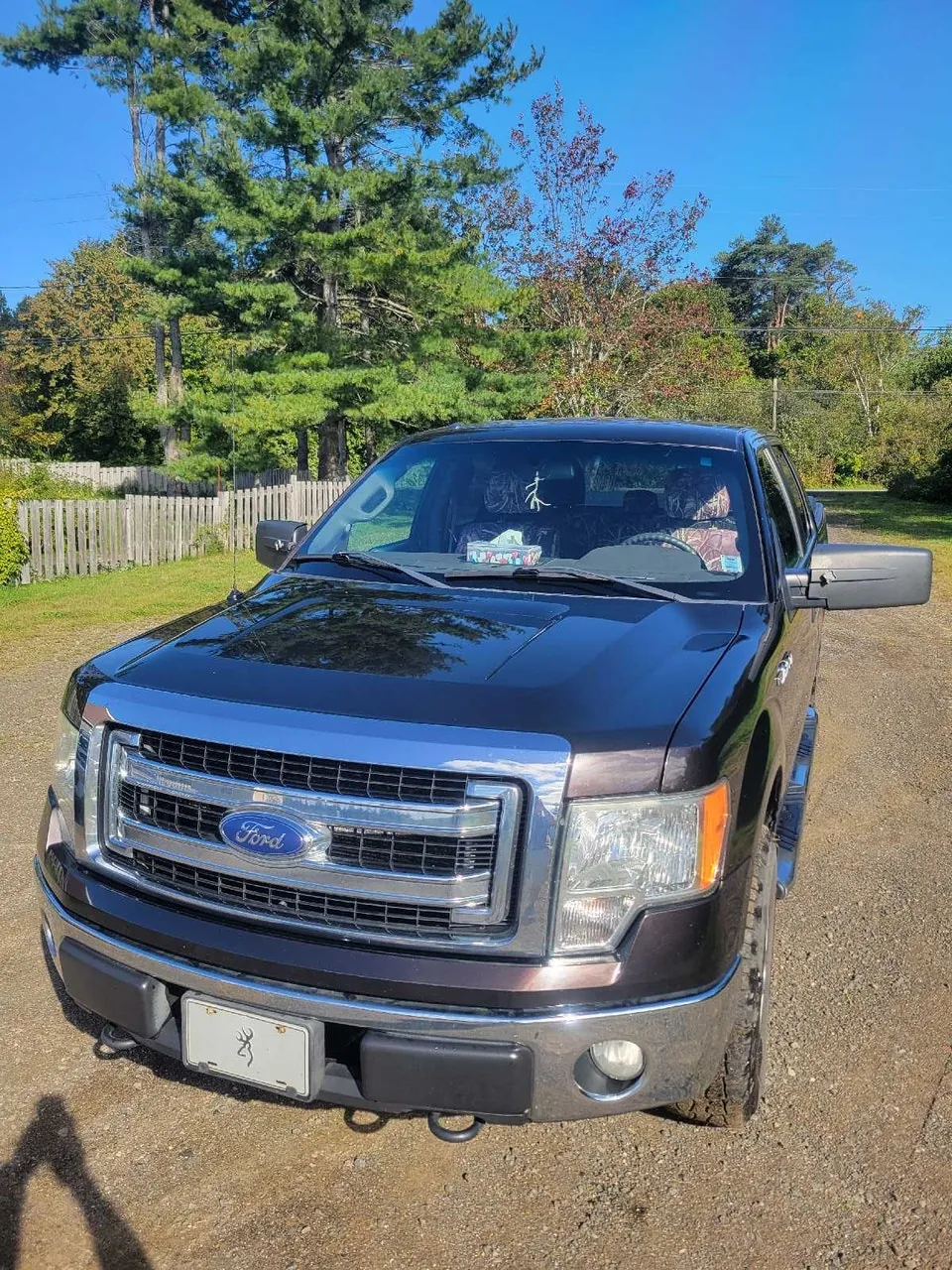 Ford F-150 2014 photo 4