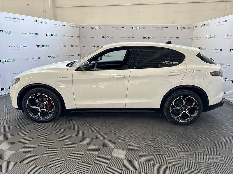 Alfa Romeo Stelvio 2024 photo 2