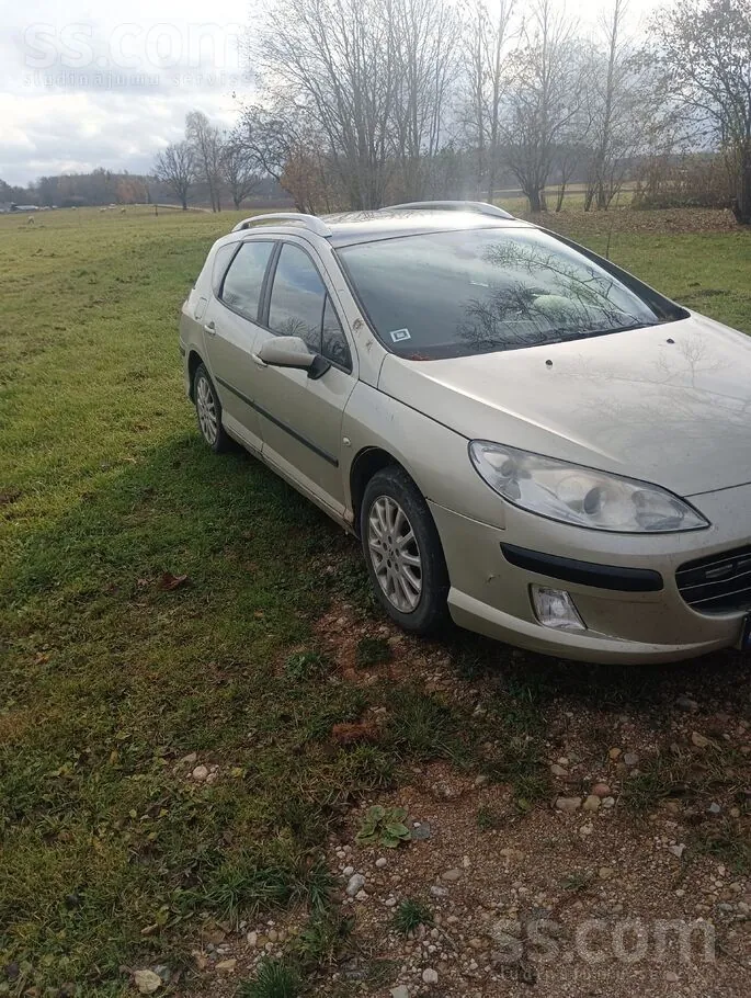 Peugeot 407