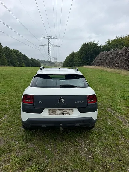 Citroen C4 Cactus 2015 photo 5