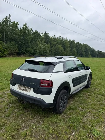 Citroen C4 Cactus 2015 photo 4