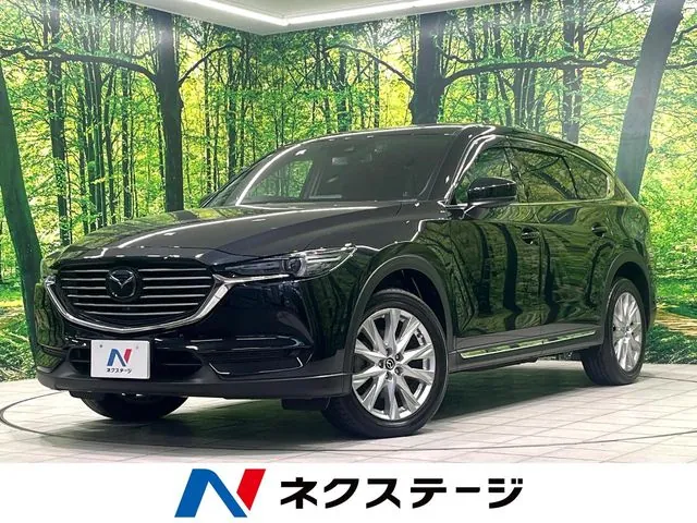 Mitsubishi Cx-8
