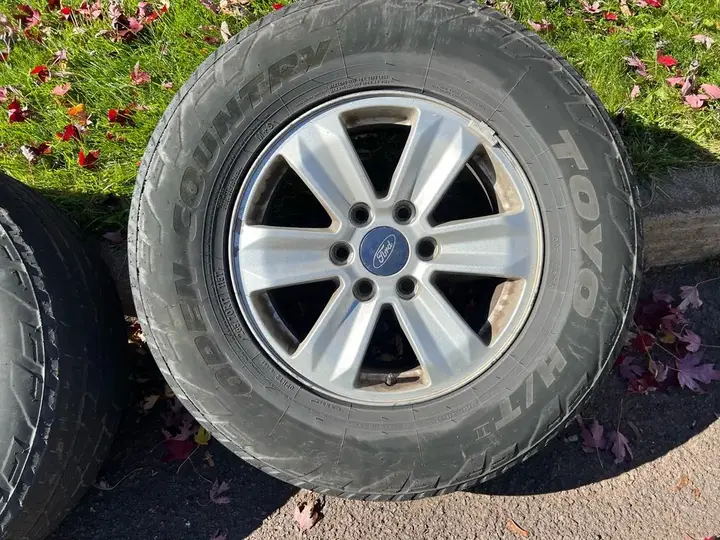 Ford F-150 2010 photo 2