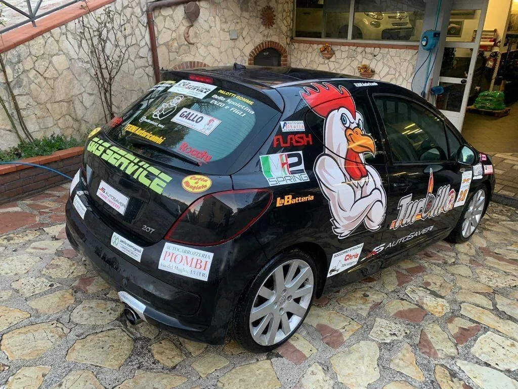 Peugeot 207 2006 photo 5