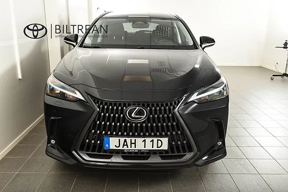 Lexus Nx450H+ 2023 photo 5