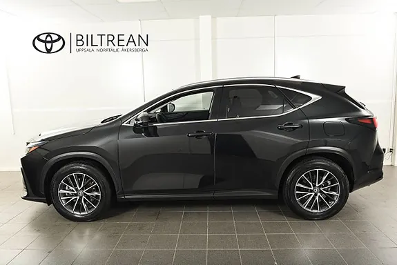 Lexus Nx450H+ 2023 photo 2