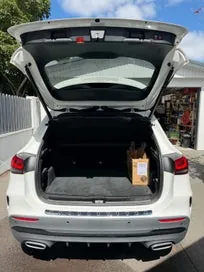Mercedes-Benz Gla 250 2020 photo 2