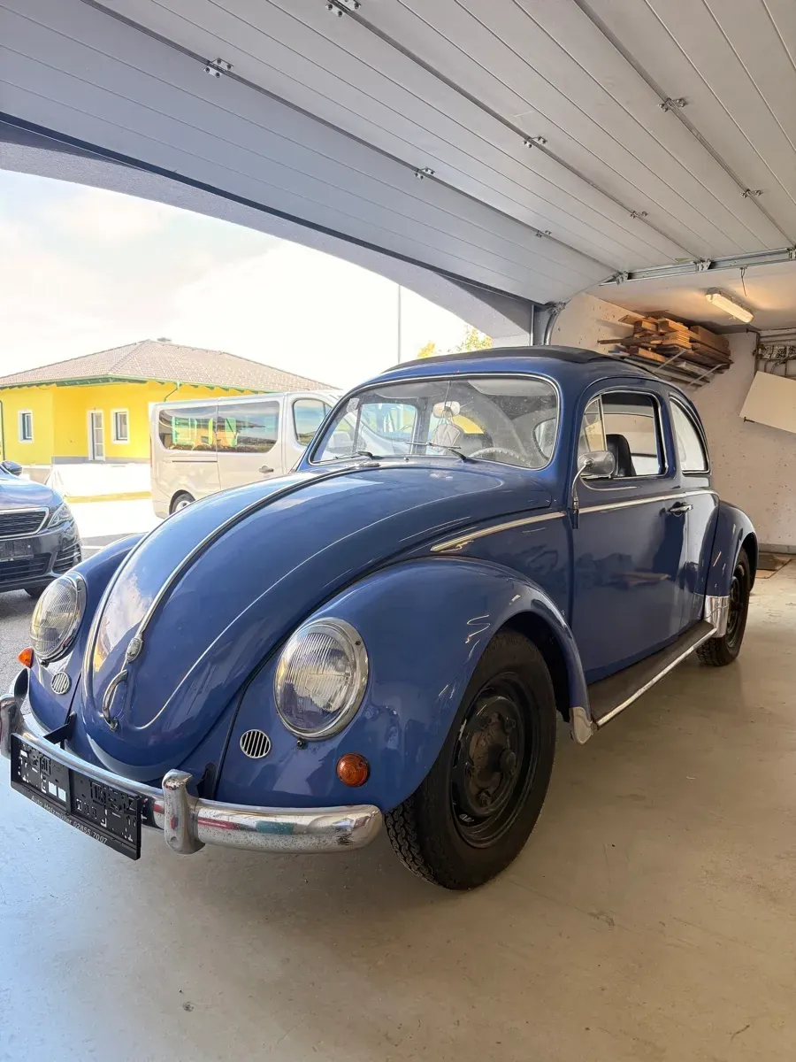 Volkswagen Käfer