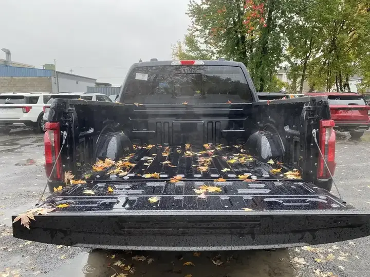 Ford F-150 2026 photo 5