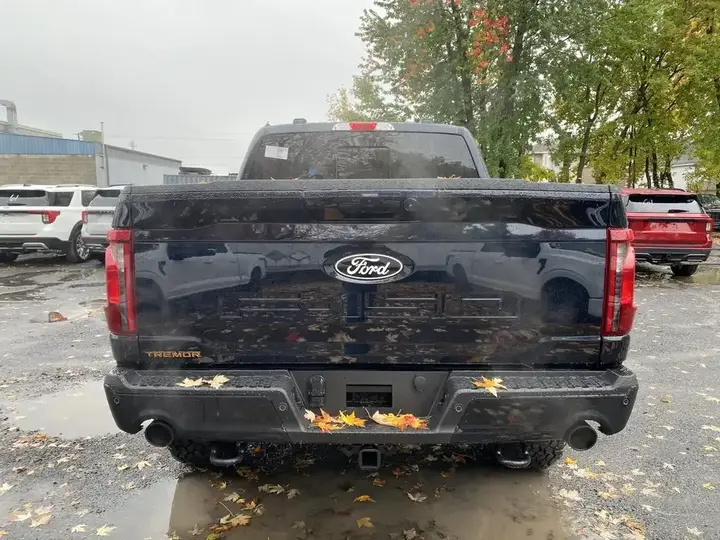 Ford F-150 2026 photo 4