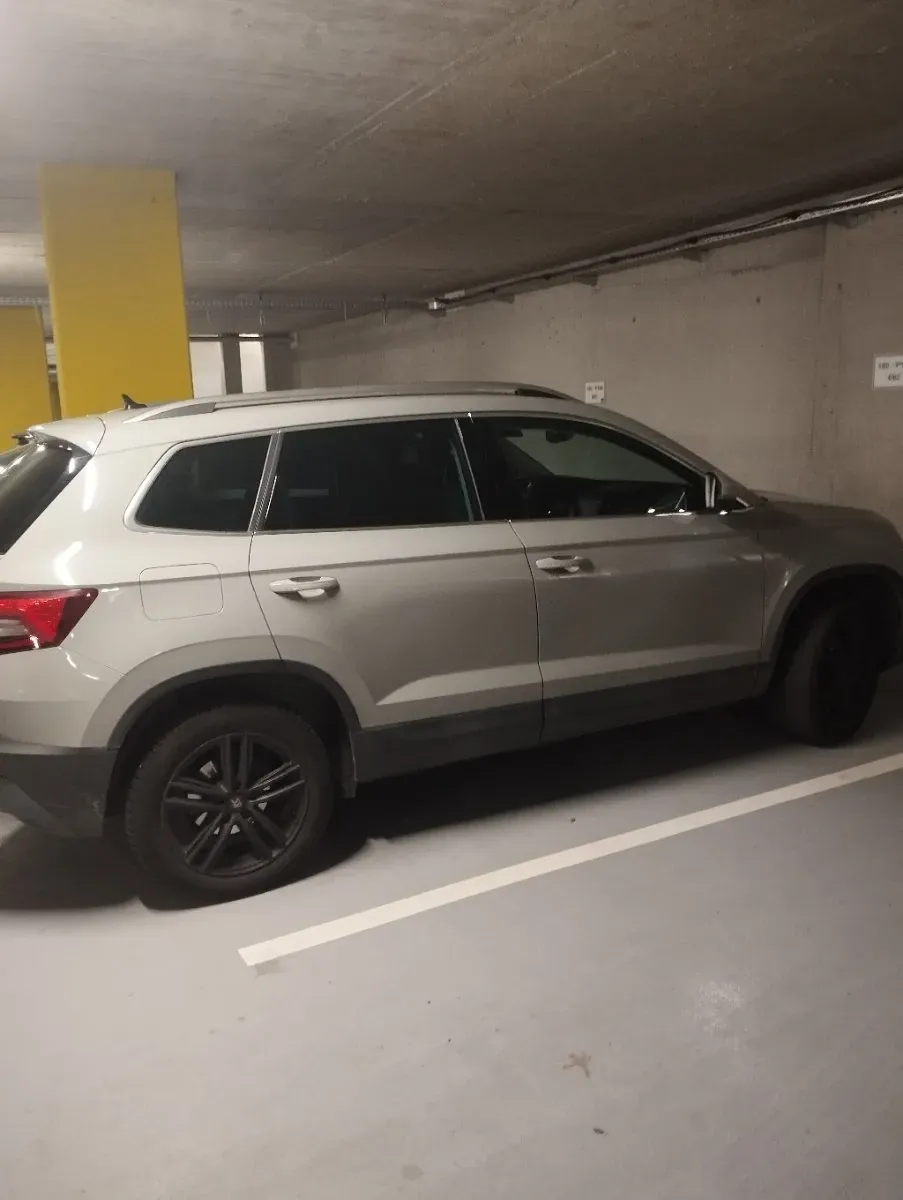 Skoda Karoq 2018 photo 2