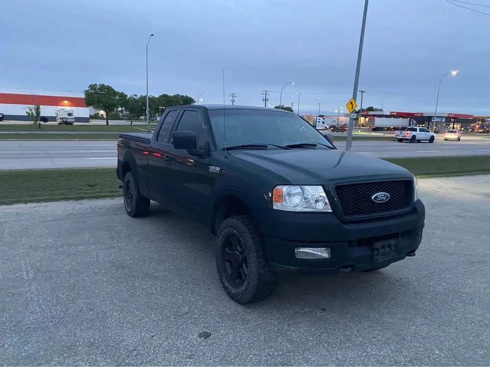 Ford F-150 2004 photo 3