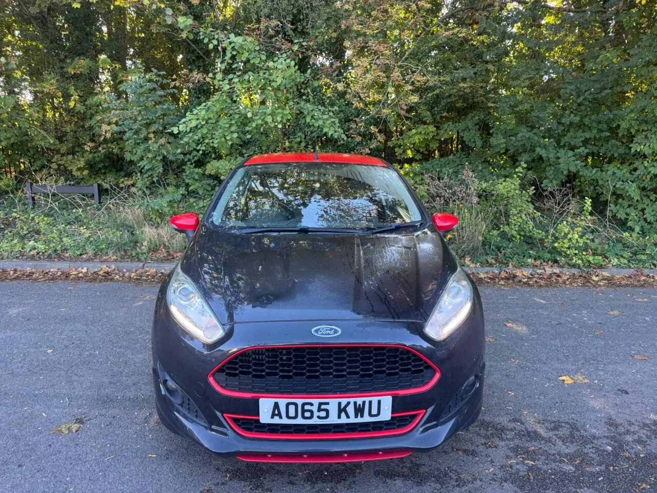 Ford Fiesta 2015 photo 2