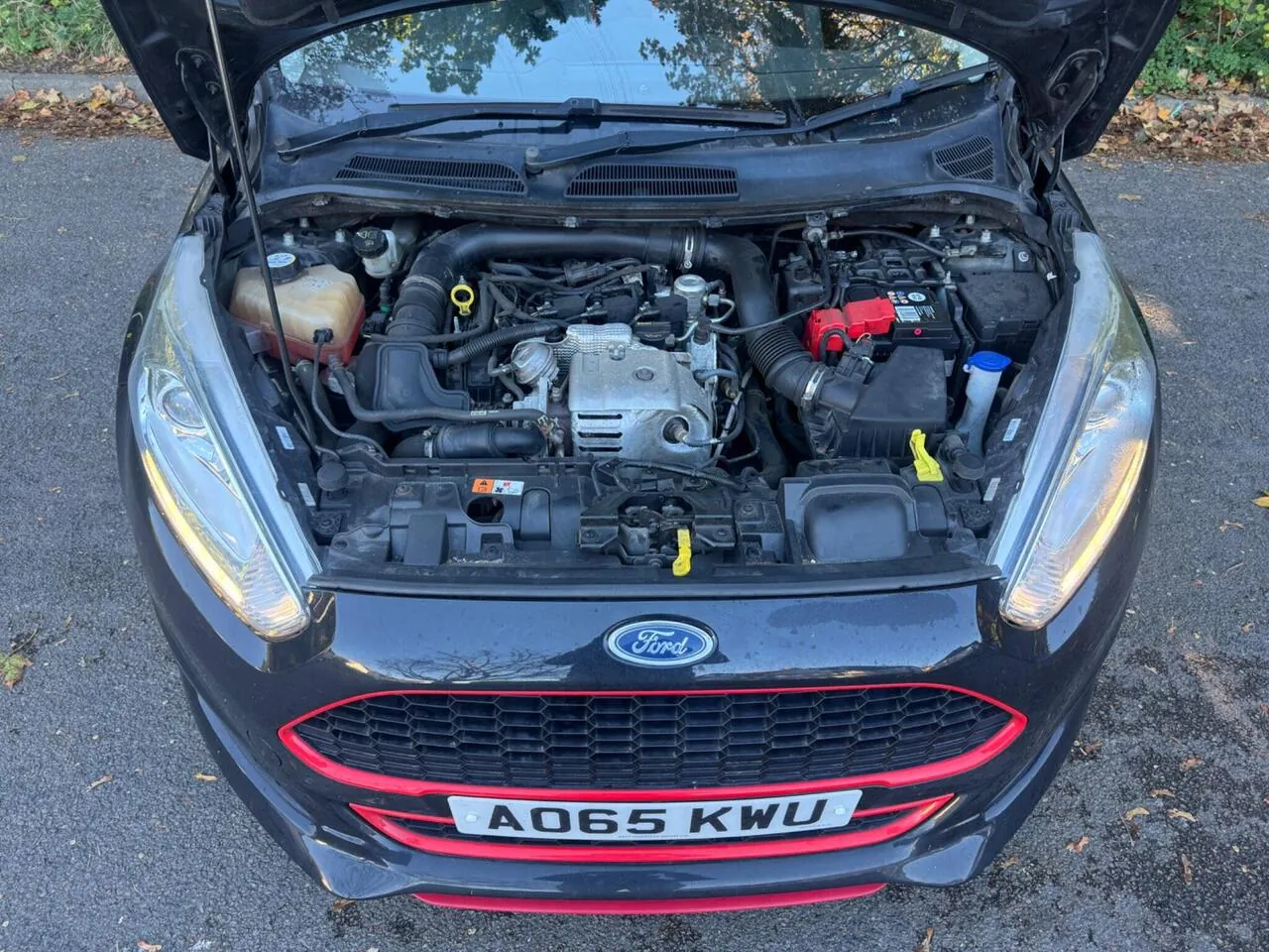 Ford Fiesta 2015 photo 3