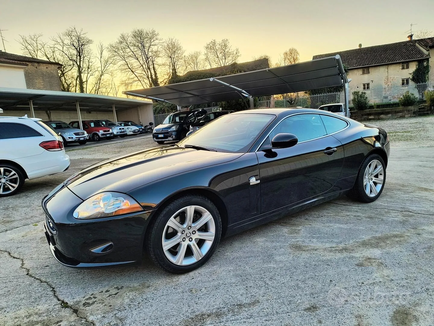 Jaguar Xk