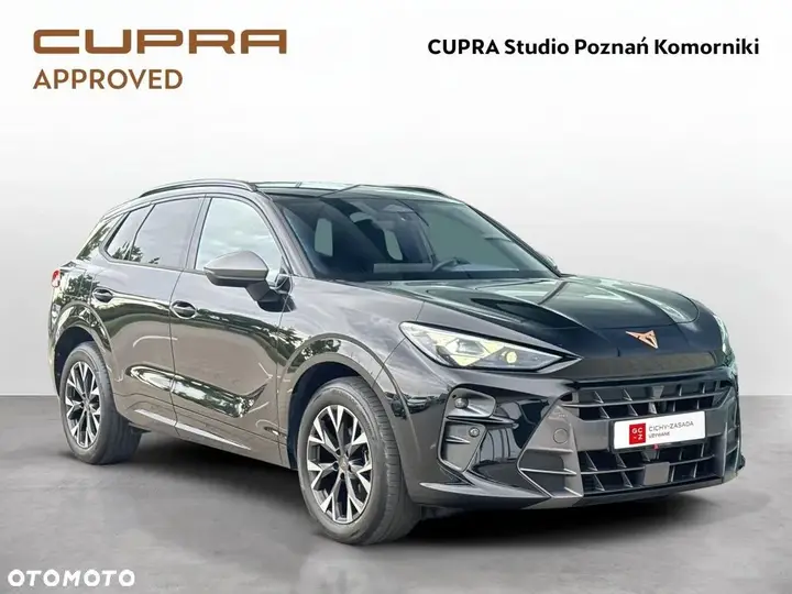 Cupra Terramar 2024 photo 3