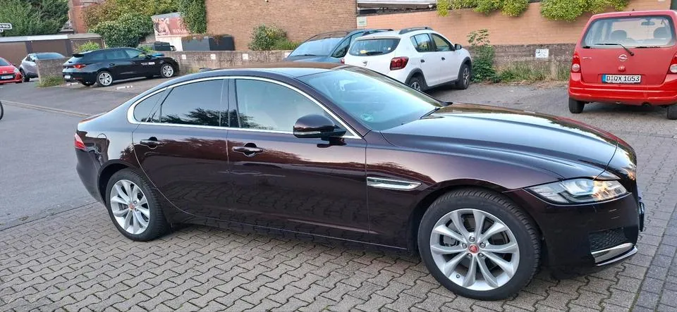 Jaguar Xf