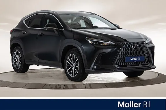 Lexus Nx450H+ 2023 photo 2