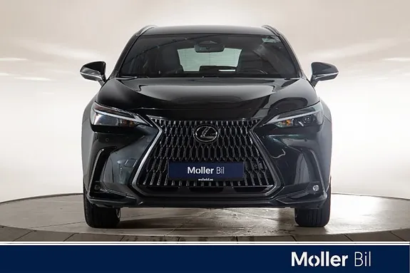Lexus Nx450H+ 2023 photo 3