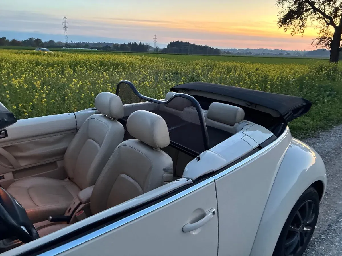Volkswagen Beetle 2003 photo 2
