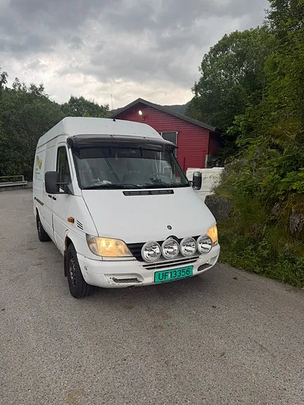 Mercedes-Benz Sprinter 313
