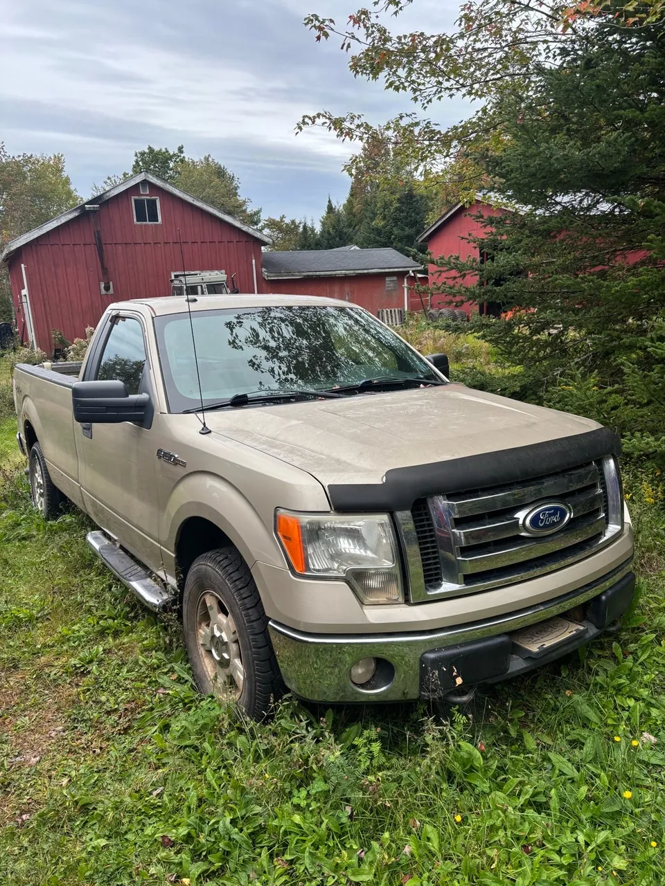 Ford F-150 2010 photo 2